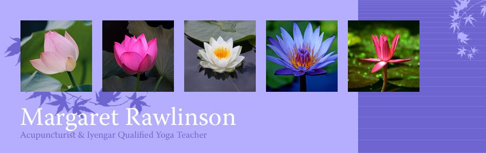 Margaret Rawlinson. Acupuncturist & Iyengar Qualified Yoga Teacher.